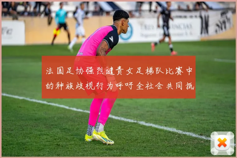法国足协强烈谴责女足梯队比赛中的种族歧视行为呼吁全社会共同抵制